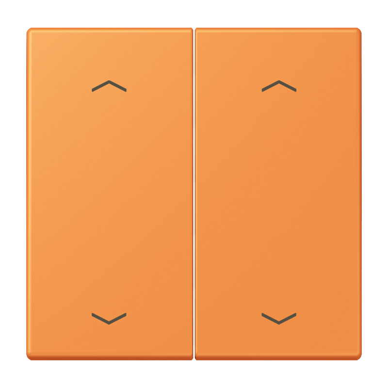 Jung LS range Wip KNX-F10 taster 2V. pijl LC32081