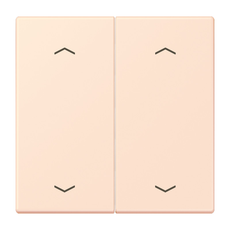 Jung LS range Wip KNX-F10 taster 2V. pijl LC32082