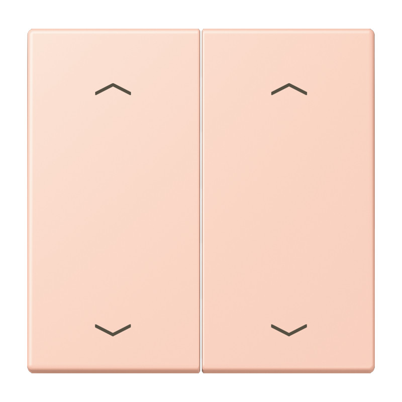 Jung LS range Wip KNX-F10 taster 2V. pijl LC32112