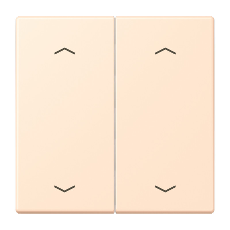 Jung LS range Wip KNX-F10 taster 2V. pijl LC32123