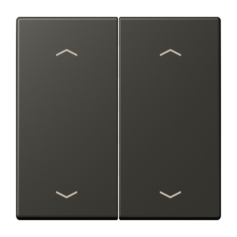 Jung LS range Wip KNX-F10 taster 2V. pijl LC4320R