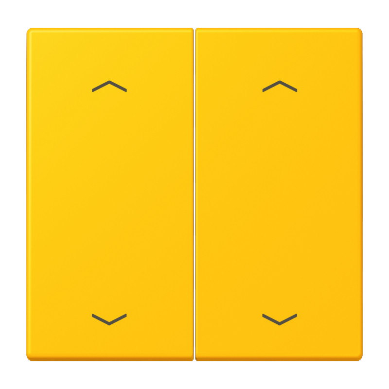 Jung LS range Wip KNX-F10 taster 2V. pijl LC4320W