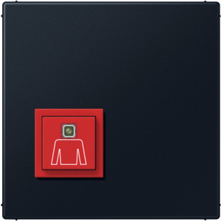 Jung OPROEPKNOP LS GRAFIETZMT