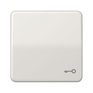 Jung CD Range schakelwip CD500 li.GR.M. SYMB. sleutel