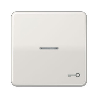 Jung CD500 bedieningselement aan-/uit-schakelaar enkele wip grijs Jung CD500 bedieningselement aan-/uit-schakelaar enkele wip grijs