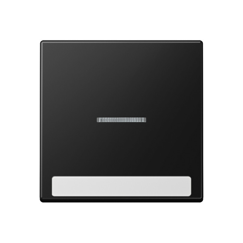 Jung A range Schakelw.A500 SL.V. tekstv. contr grafzw