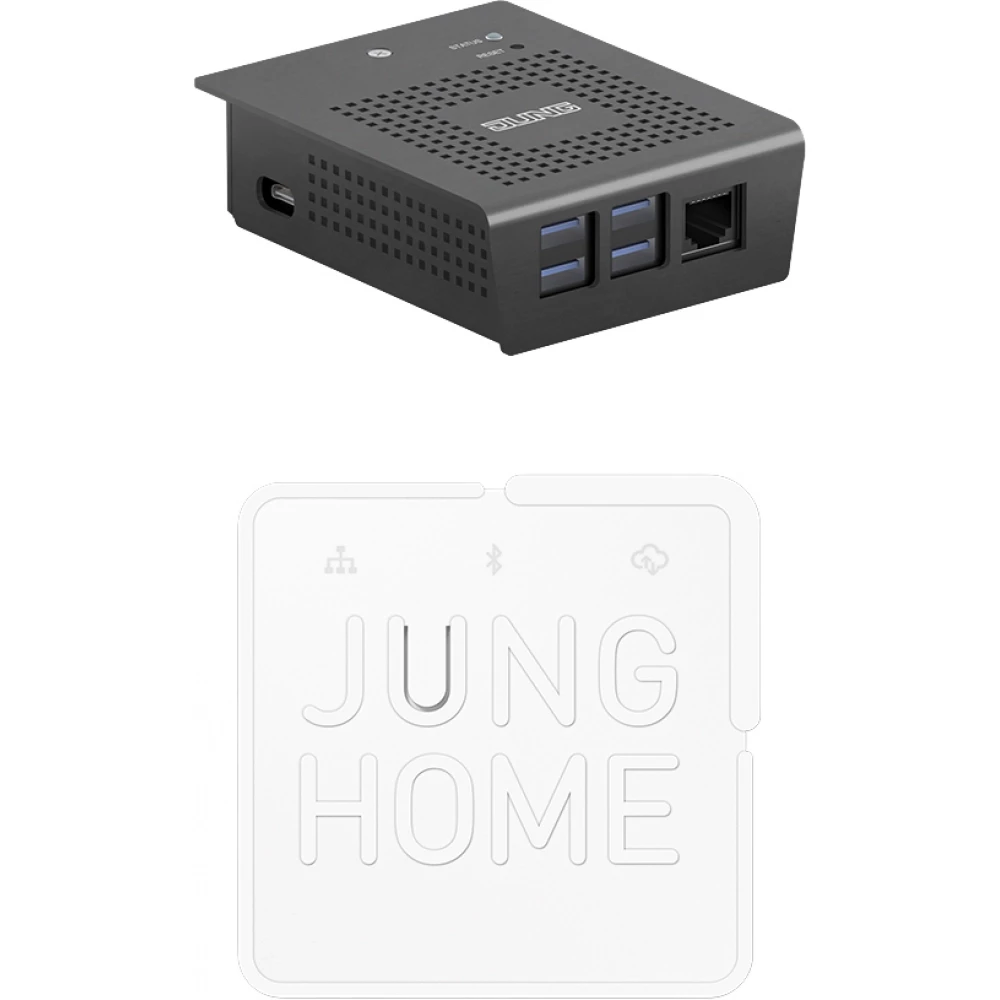 Jung SV-S2-BTSGW SV-server set home gateway met eurostekker