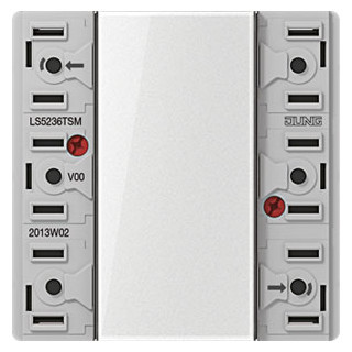 Jung Tastermodule 24 V ac/DC 20 ma