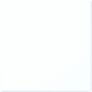 Jung VOED NOODOPR LS WIT MAT