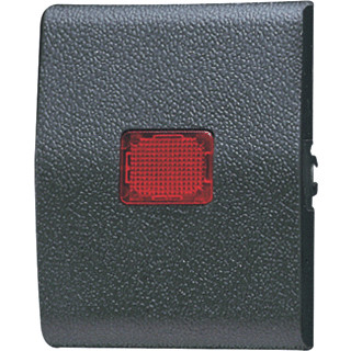 Jung Schakelwip WG800 met lens voor ba-taster