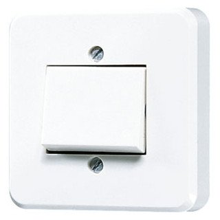 Jung Wipschakelaar 10 A 250 V ~