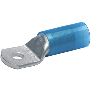 Klauke PERSKBS 800018272    DS10