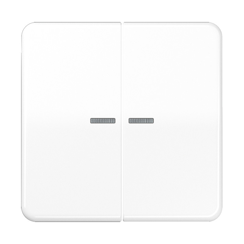 Jung CD range KNX RF-tastafd. 2V. CD500 alpinwit
