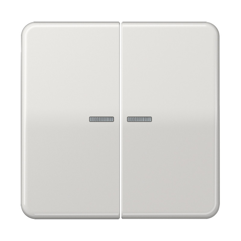 Jung CD range KNX RF-tastafd. 2V. CD500 lichtgrijs