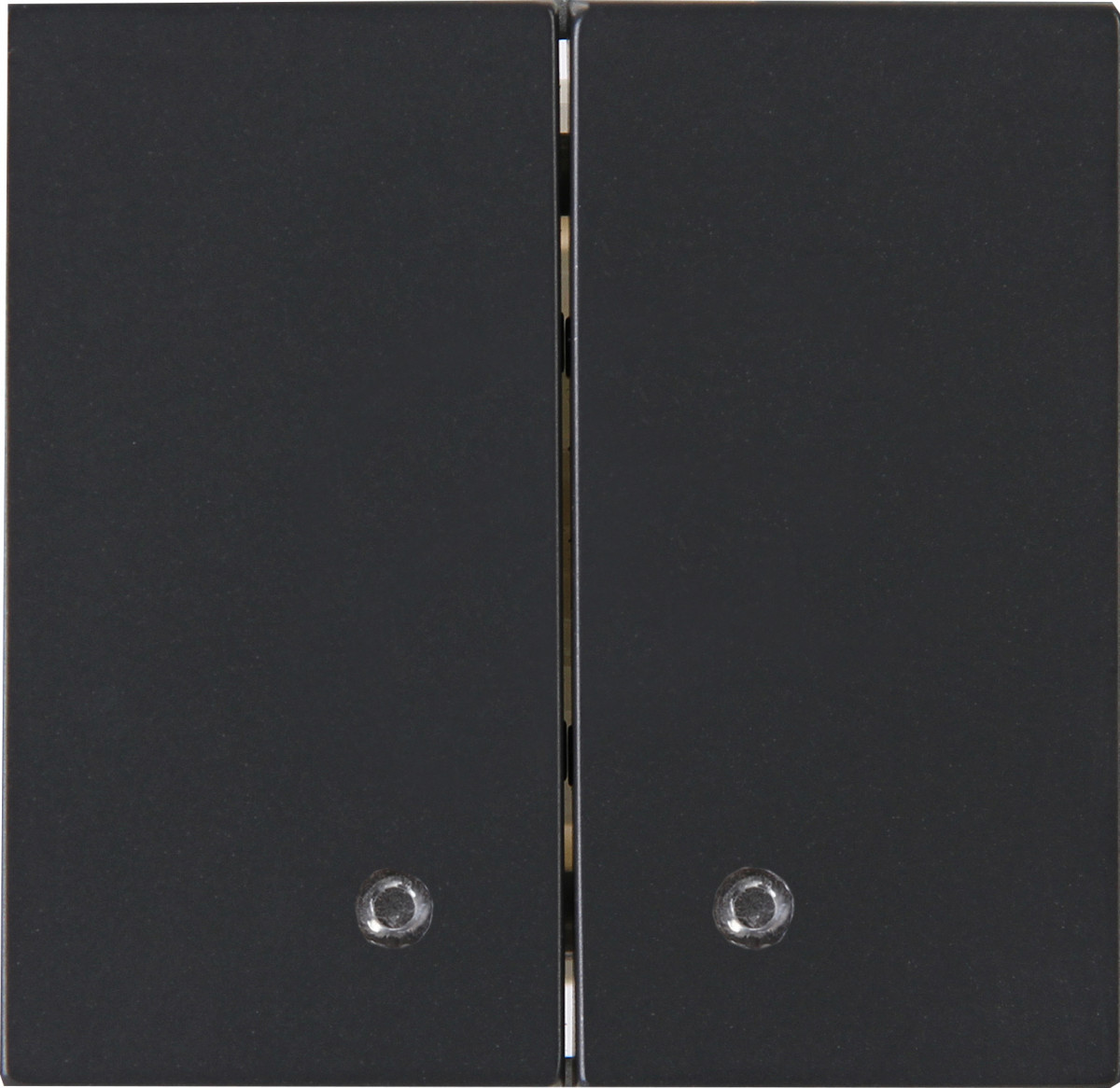 Kopp Blue-control HK07 - bedieningswip dubbel met transparent lens, antraciet