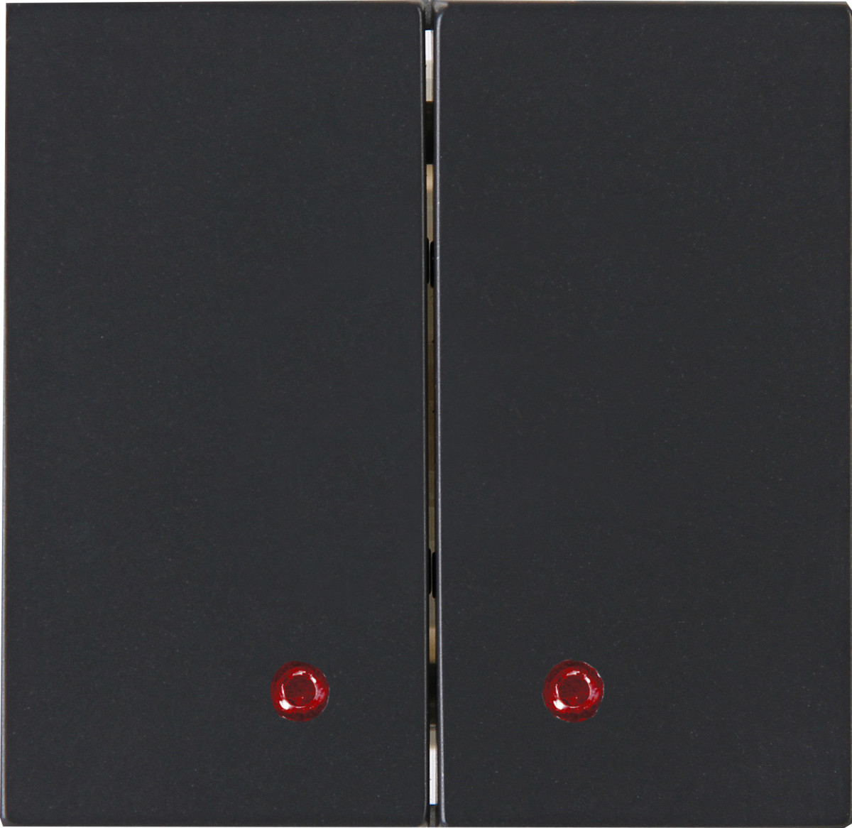 Kopp Blue-control HK07 - bedieningswip dubbel met red lens, antraciet