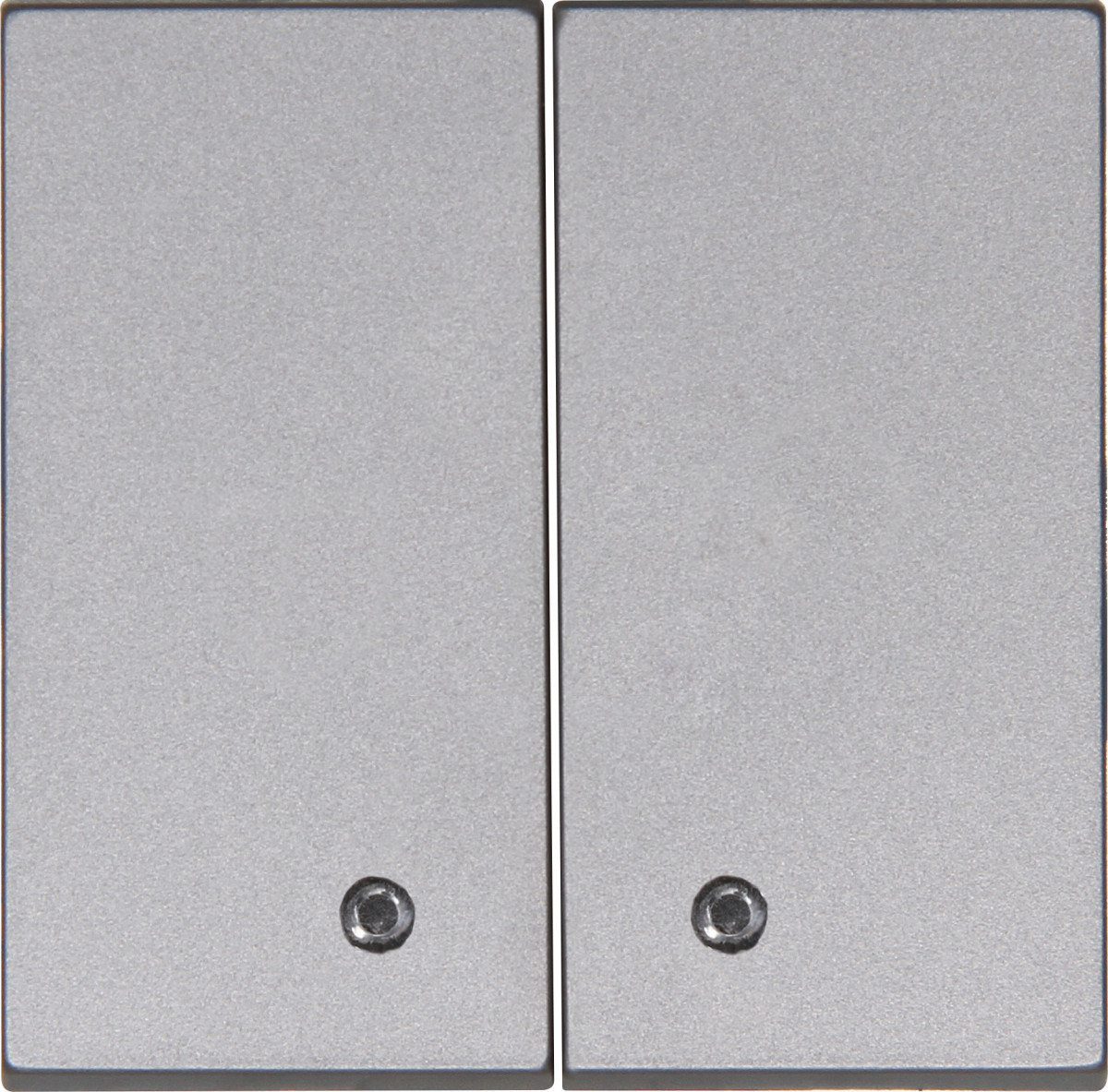 Kopp Blue-control HK07 - bedieningswip dubbel met transparent lens, staal