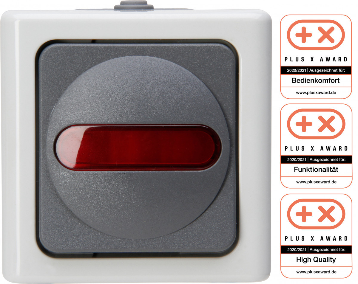 Blue Electric - controleschakelaar ip44 grijs