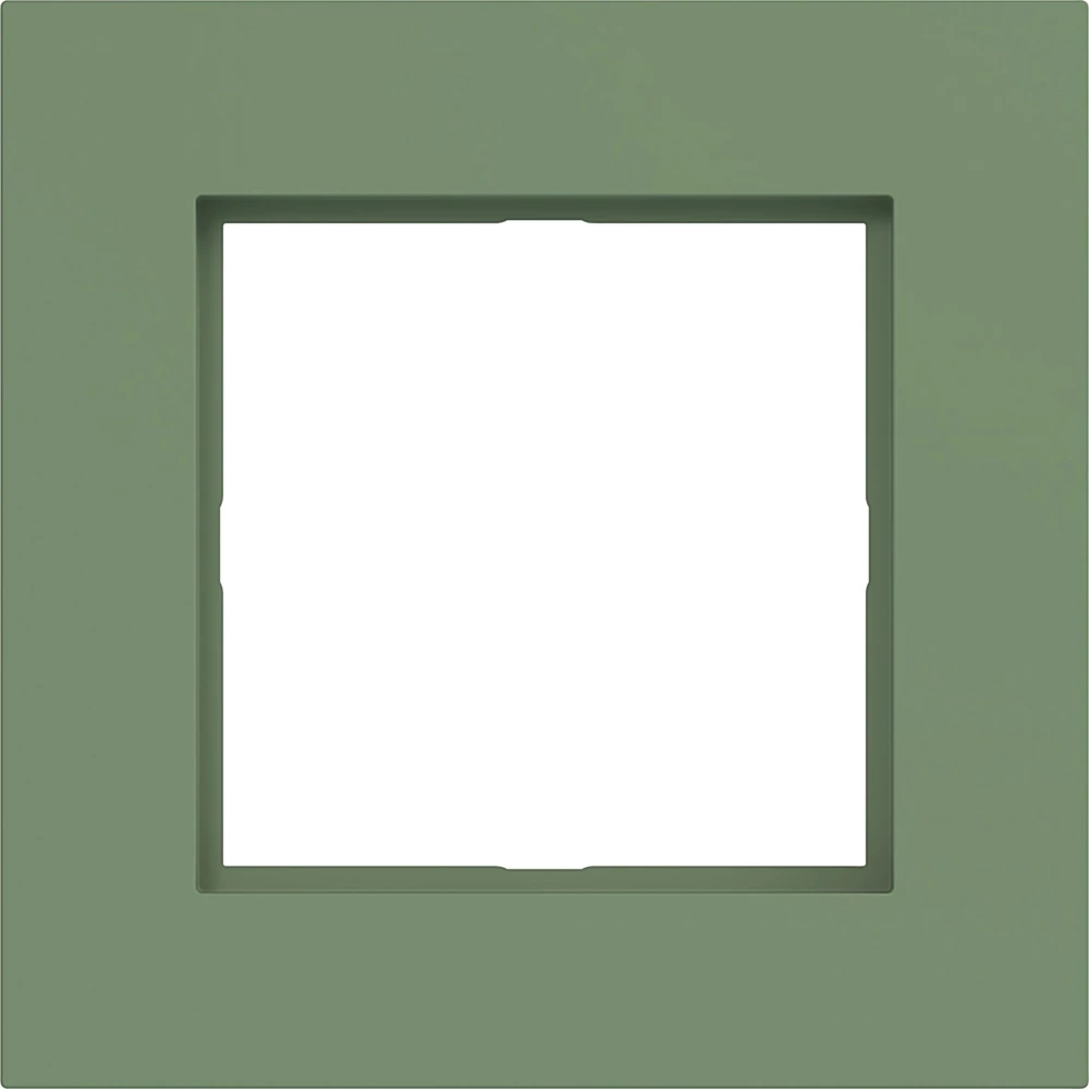 Led-Afdekraam 1-voudig, A.8, aloe, mat