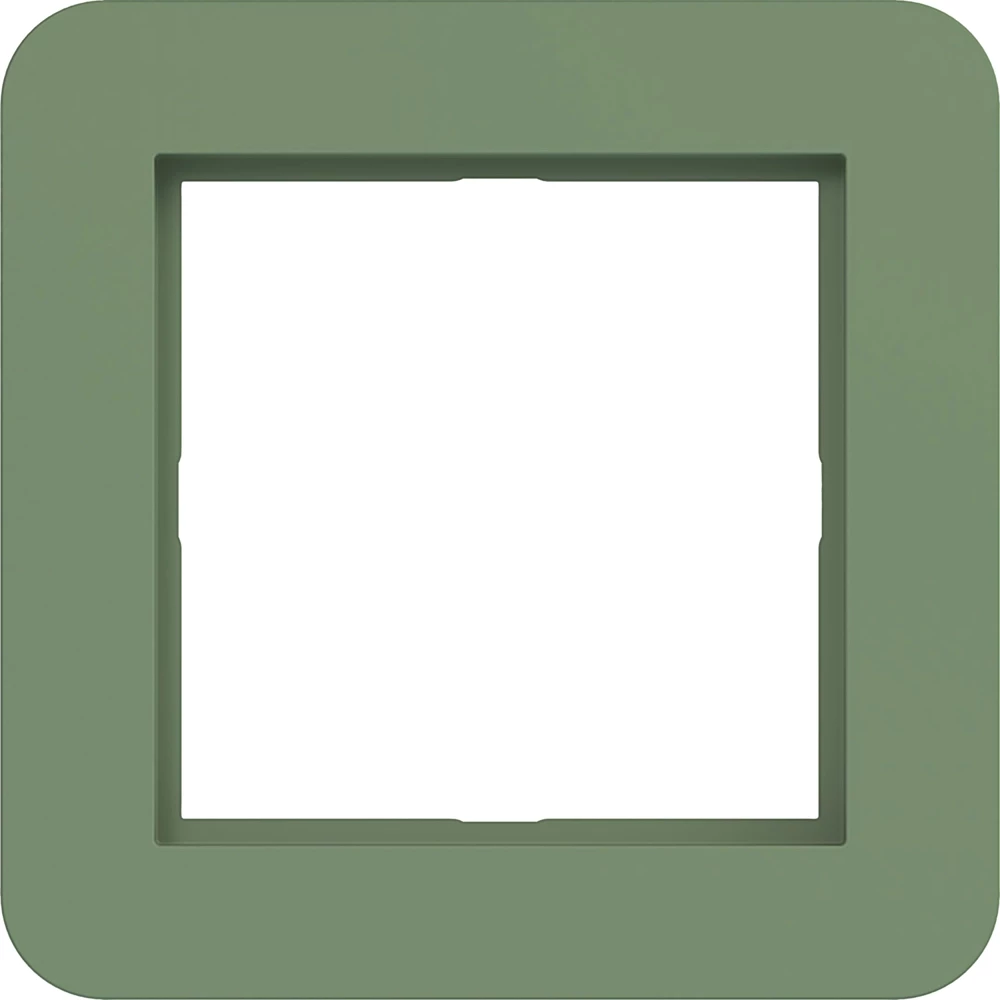 Led-Afdekraam 1-voudig, C.1, aloe, mat