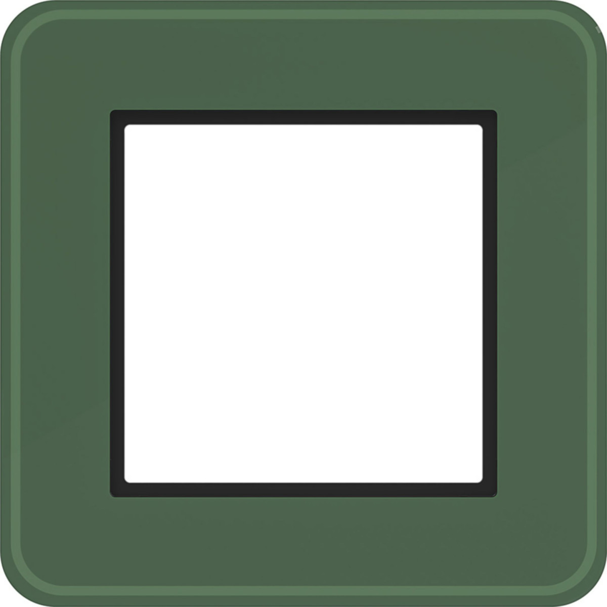 Led-Afdekraam 1-voudig, C.8, forest glass, matglas