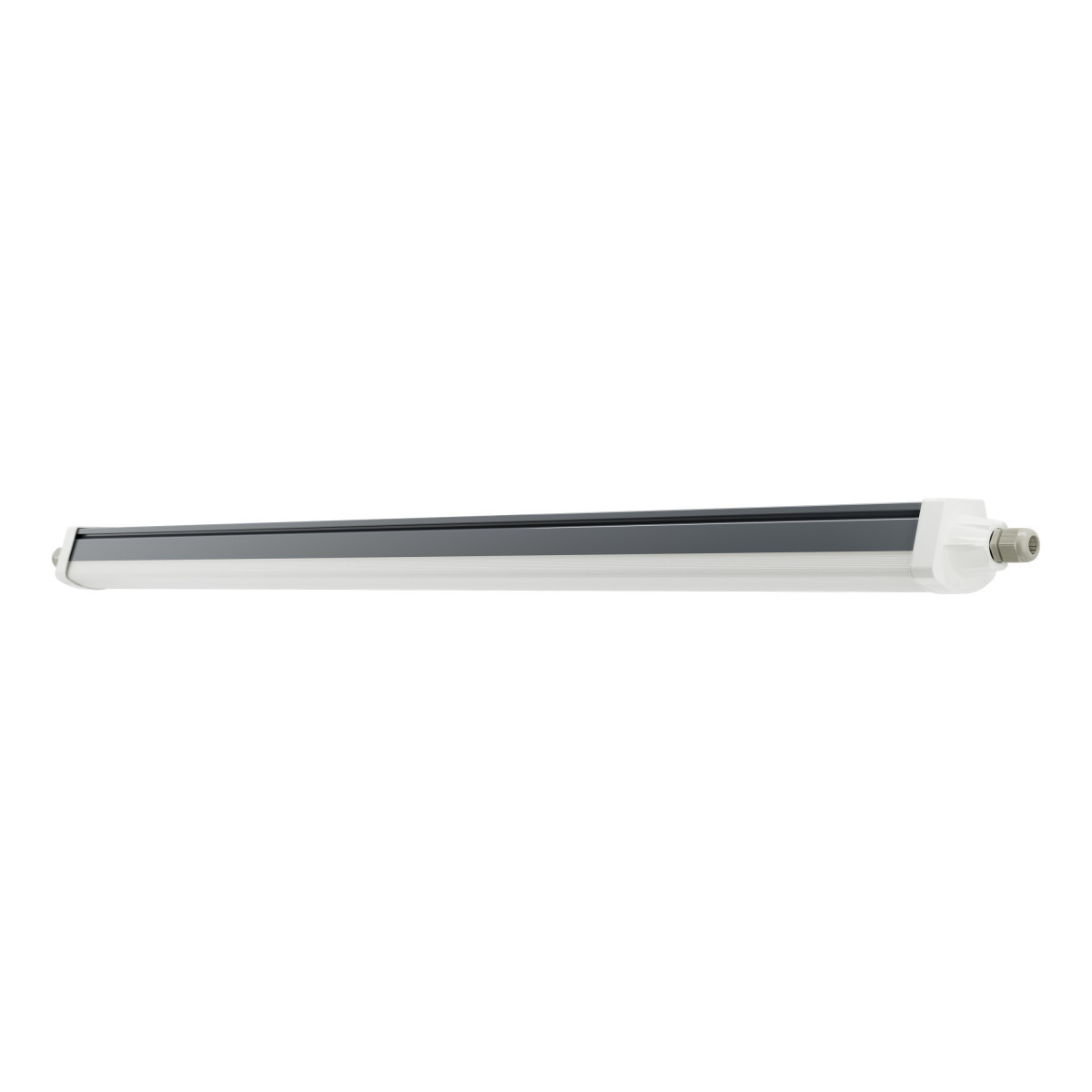 Ledvance DAMP PROOF FLEX DALI Damp Proof flex dali 1200 P 34W 840 ip66