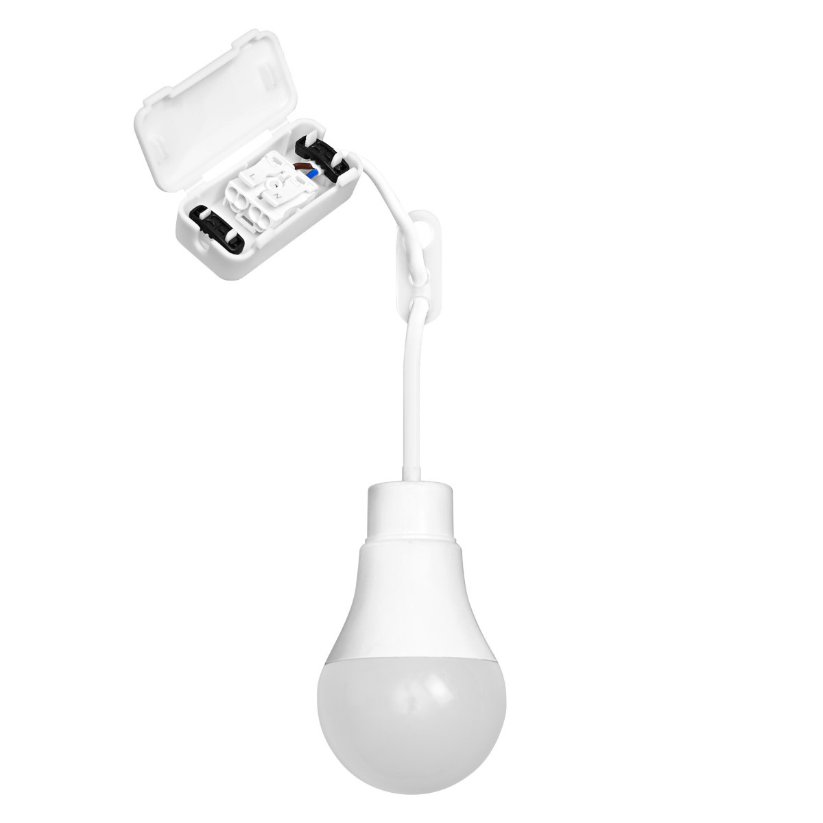 Ledvance RENOVATION LAMPS WITH TERMINAL BLOC Renovation Lamps with terminal block terminal block 10W 840 single pac
