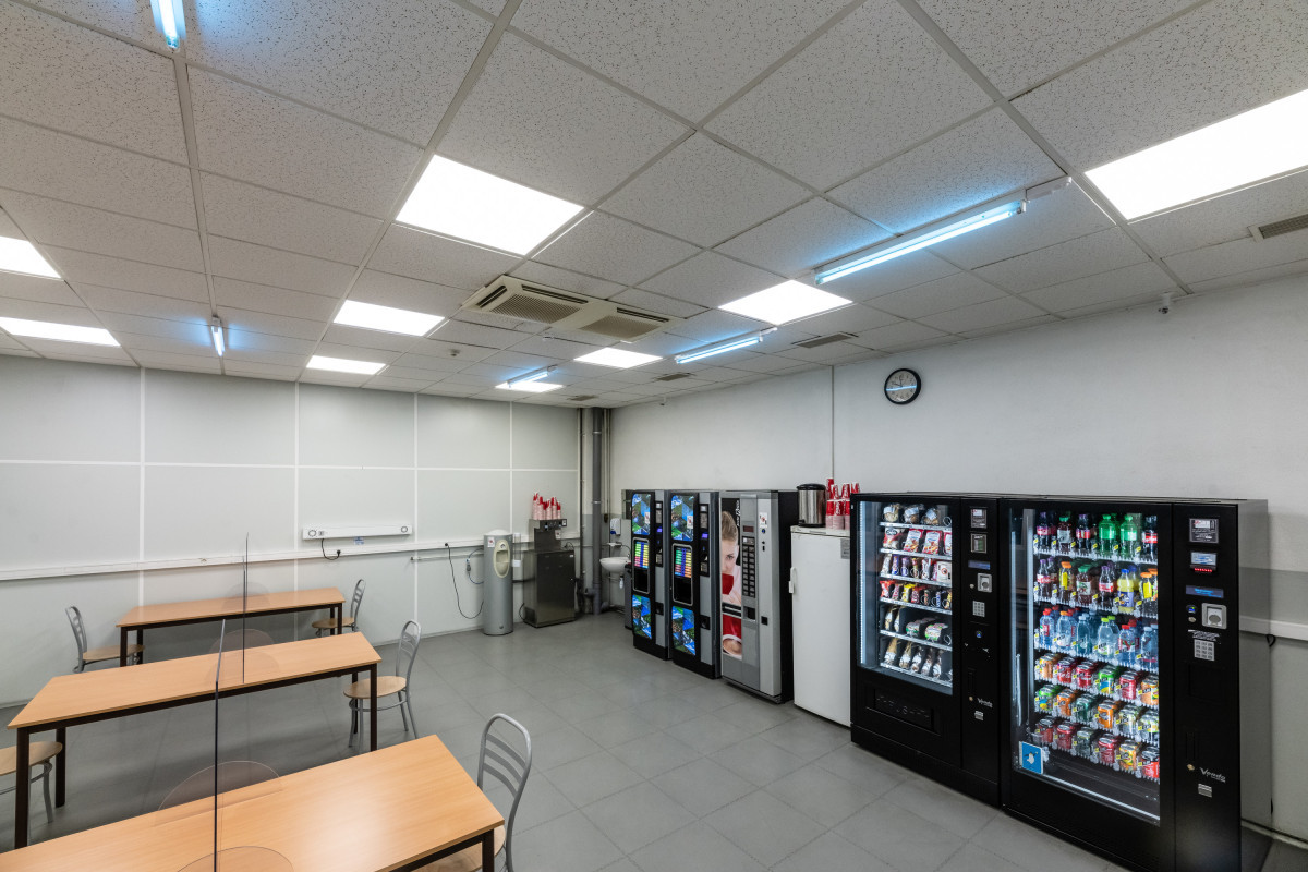 Ledvance UVC T8 LAMPS Uvc T8 lamps 30 W G13