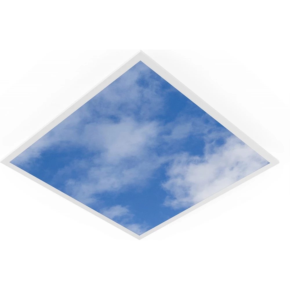 Ledvance Value SKY print paneel dali 595x595mm dali-2 dali vrijstralend/diffuus wit