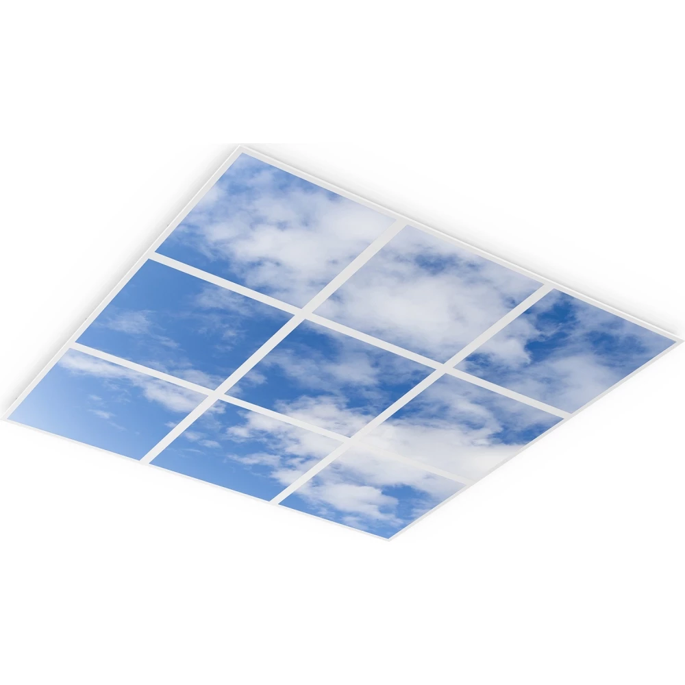 Ledvance Value SKY print paneel dali (9 stuks) 595x595mm dali-2 dali vrijstralend/diffuus wit