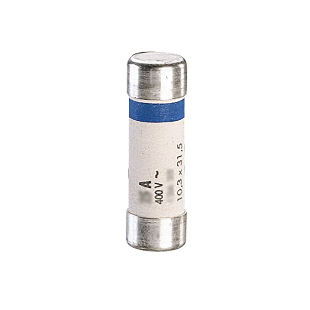 Legrand Componenten Zekering Industrieel 16a 10x31.5MM