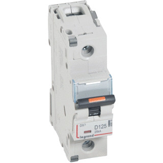 Legrand Lexic installatieautomaat D karakteristiek 125a 1P 1 beveiligd 1,5te