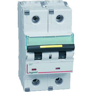 Legrand Lexic installatieautomaat D karakteristiek 100a 2P 2 beveiligd 3te