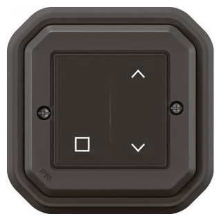 Legrand Plexo with netatmo rolluikbediening zonder batterijen compl ip55 antra