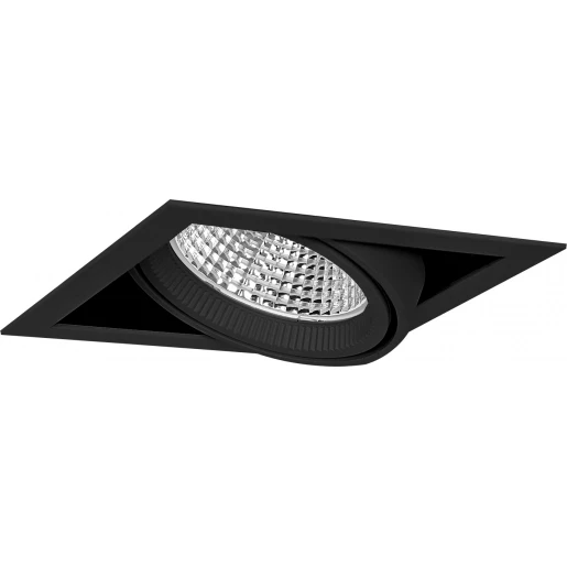 Light4u Cardan S one 3100LM/930PW 30W 15° black