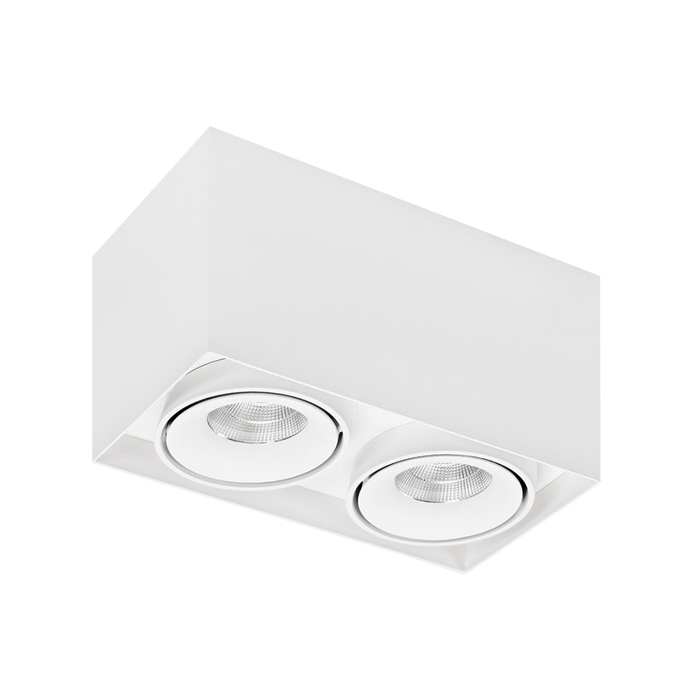 Lumiparts Caja Opbouw Downlighter caja led 2-lichts wit 4000K