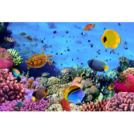 Macbright SKY armatuur led 5300K 34W 4100LM 595MM ip20