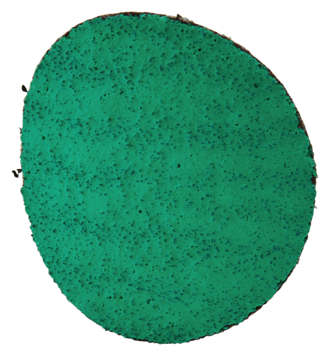 Makita Schuurschijf 50MM Z60