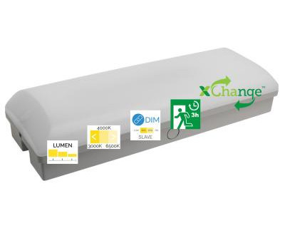 Megaman RENZO Renzo Portal met nood