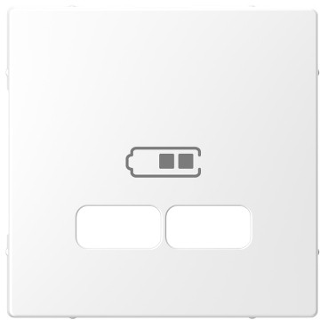 Merten Centraalplaat usb-oplader lotuswit systeem D