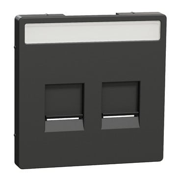 Merten Systeem D centraalplaat RJ45 2-voudig venster antraciet