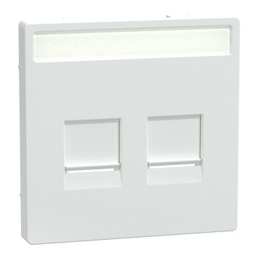 Merten Systeem D centraalplaat RJ45 2-voudig venster lotuswit