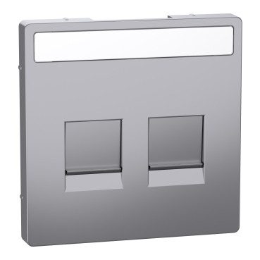Merten Systeem D centraalplaat RJ45 2-voudig venster RVS look