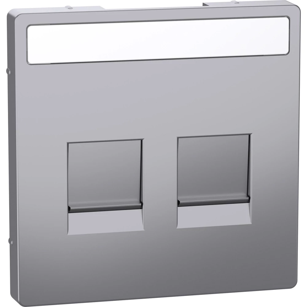 Merten Systeem D centraalplaat RJ45 2-voudig venster RVS look Merten Systeem D centraalplaat RJ45 2-voudig venster RVS look