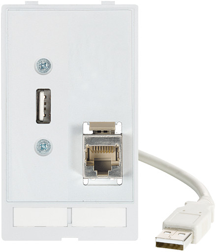 Murrelektronik front panel interface Modlink MSDD data insert 1×usb-A female/male 0,7M cable + 1XRJ45