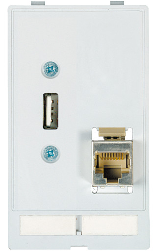 Murrelektronik front panel interface Modlink MSDD data insert 1xusb-A female/female + 1XRJ45