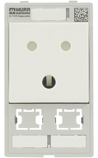 Murrelektronik front panel interface Modlink MSDD single combi insert india 2X data cutout
