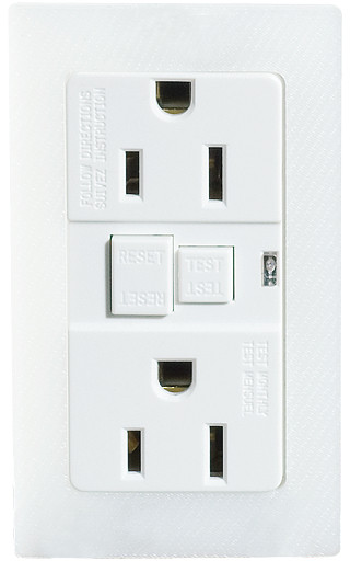 Murrelektronik front panel interface Modlink MSDD socket insert usa 2xnema 5-15 gfci 125vac/15a