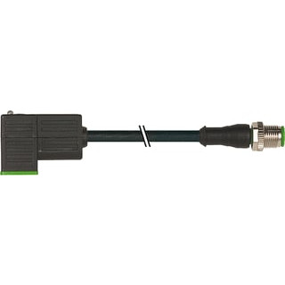 Murrelektronik 7000-41081-6C30170