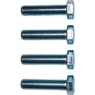 Nijhuis & Wigger TAPBOUT ELV M16X65    ZK4